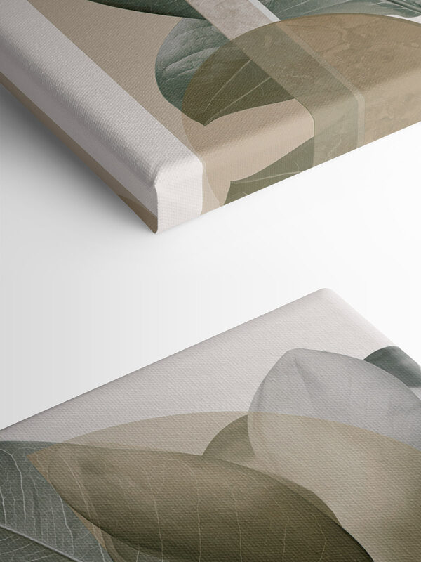 Soft foliage on a subtle background