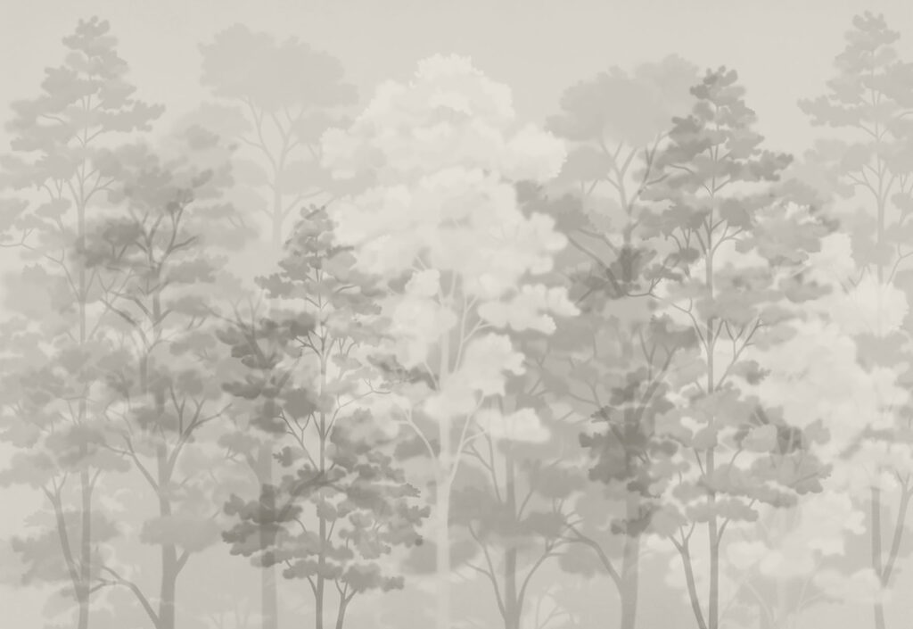 Group of trees in a foggy forest Group of trees in a foggy forest