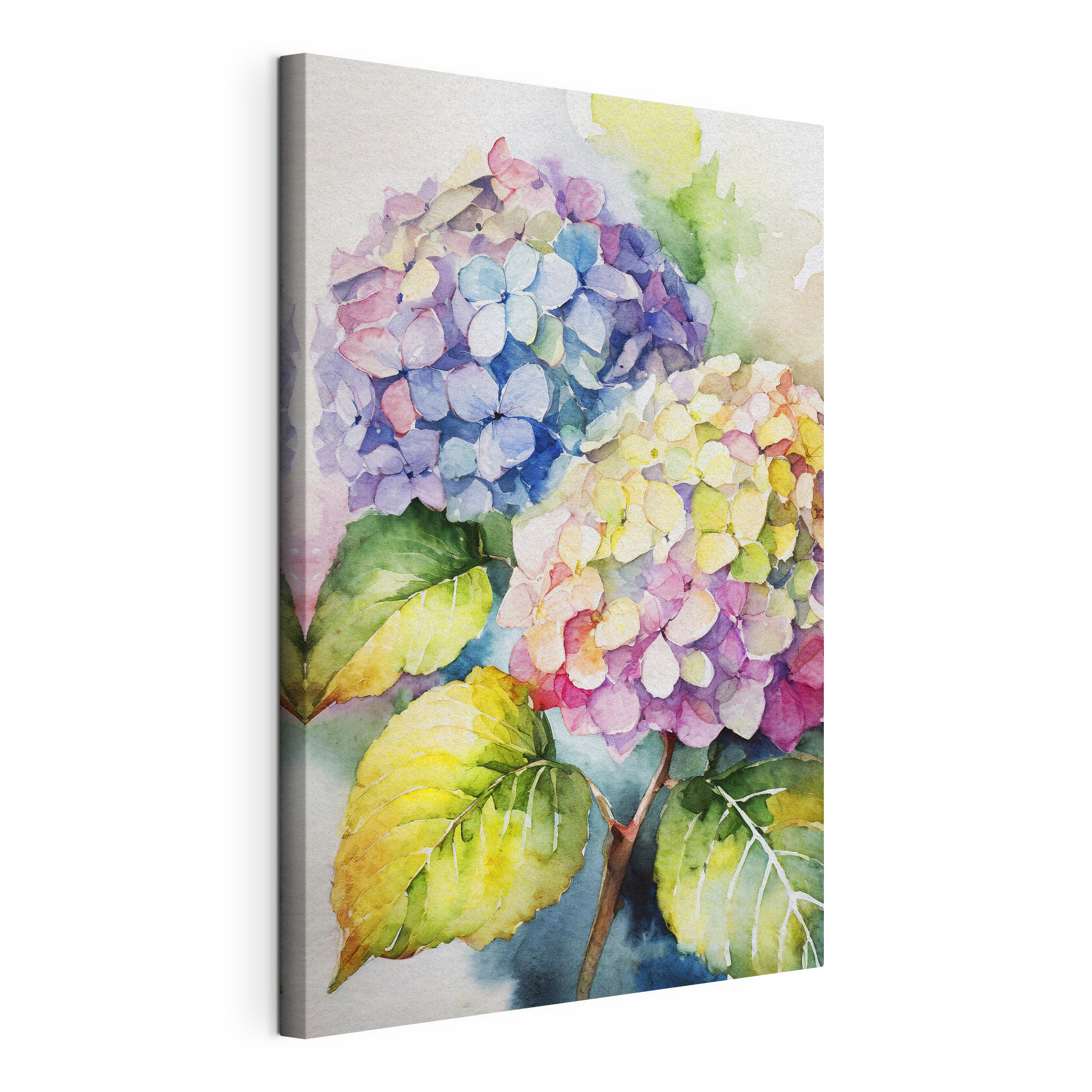 A watercolor painting of flowers A watercolor painting of flowers