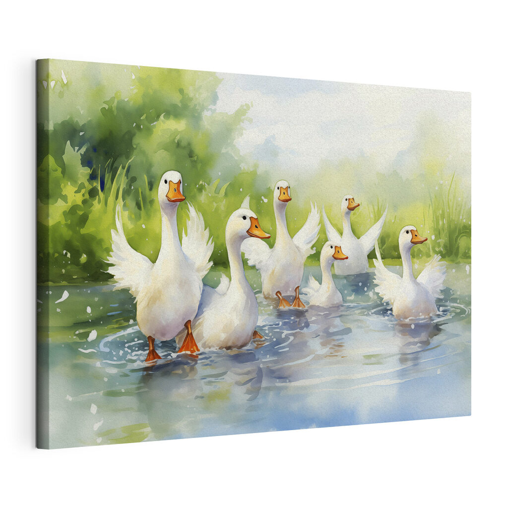 Group of white ducks swimming in water