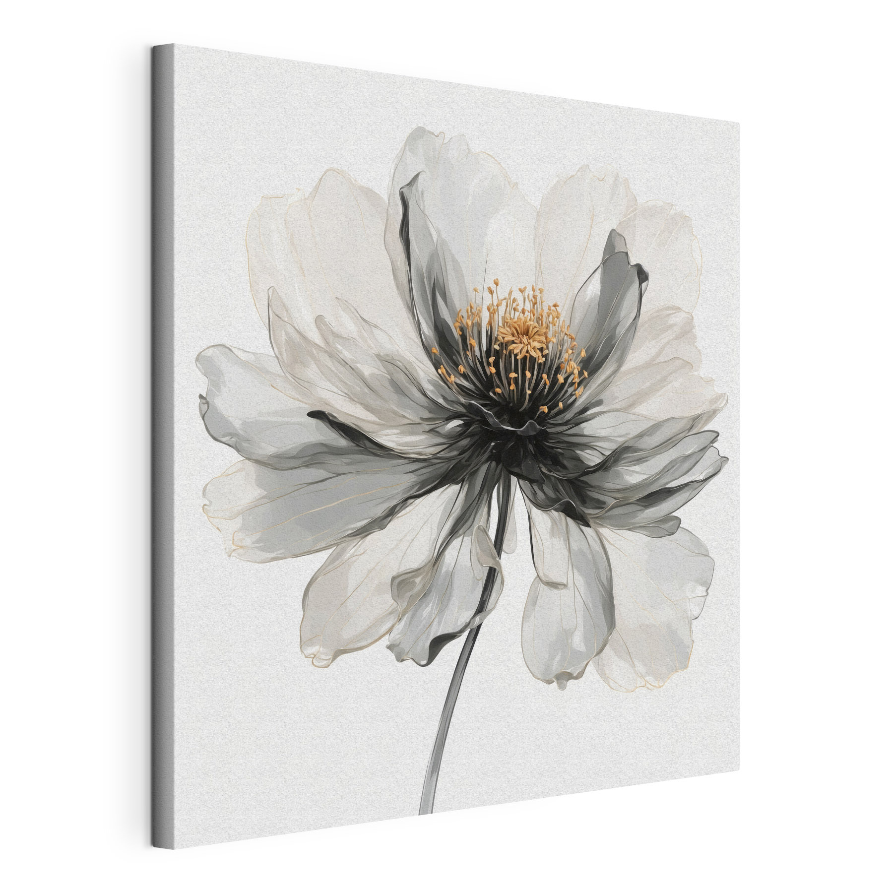 Elegant flower in soft monochrome tones