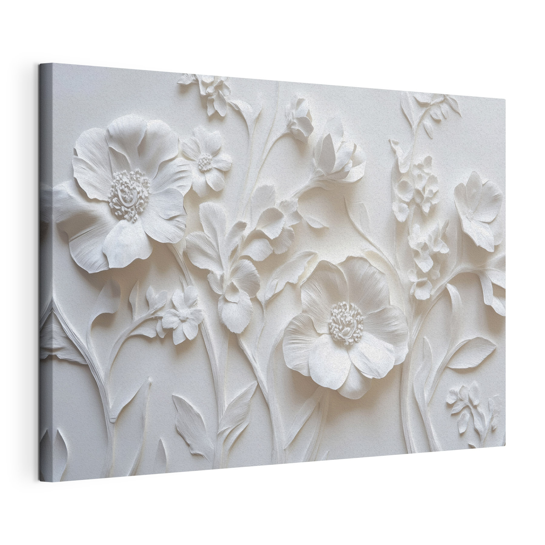 White wall with flowers White wall with flowers