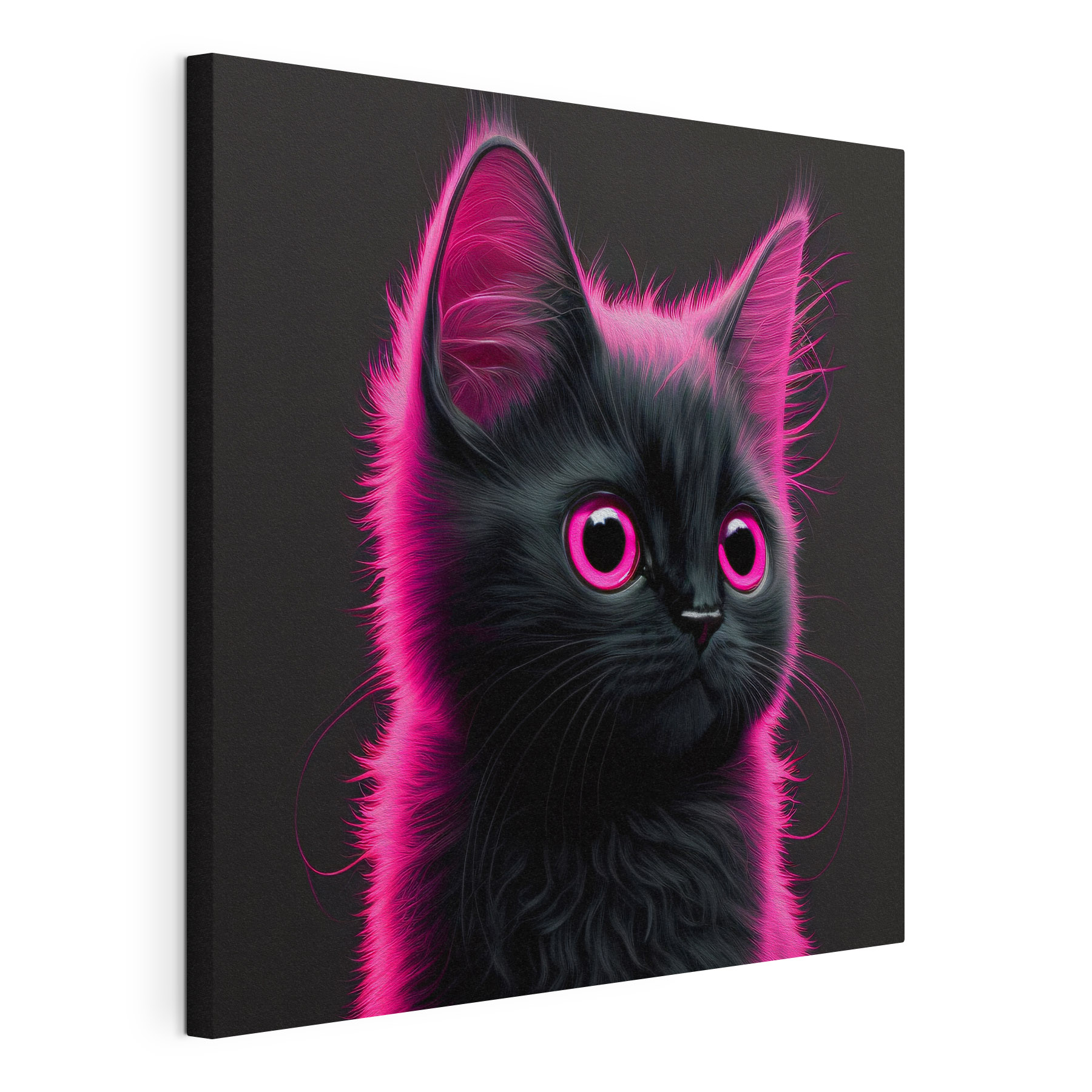Black cat with pink hair Black cat with pink hair