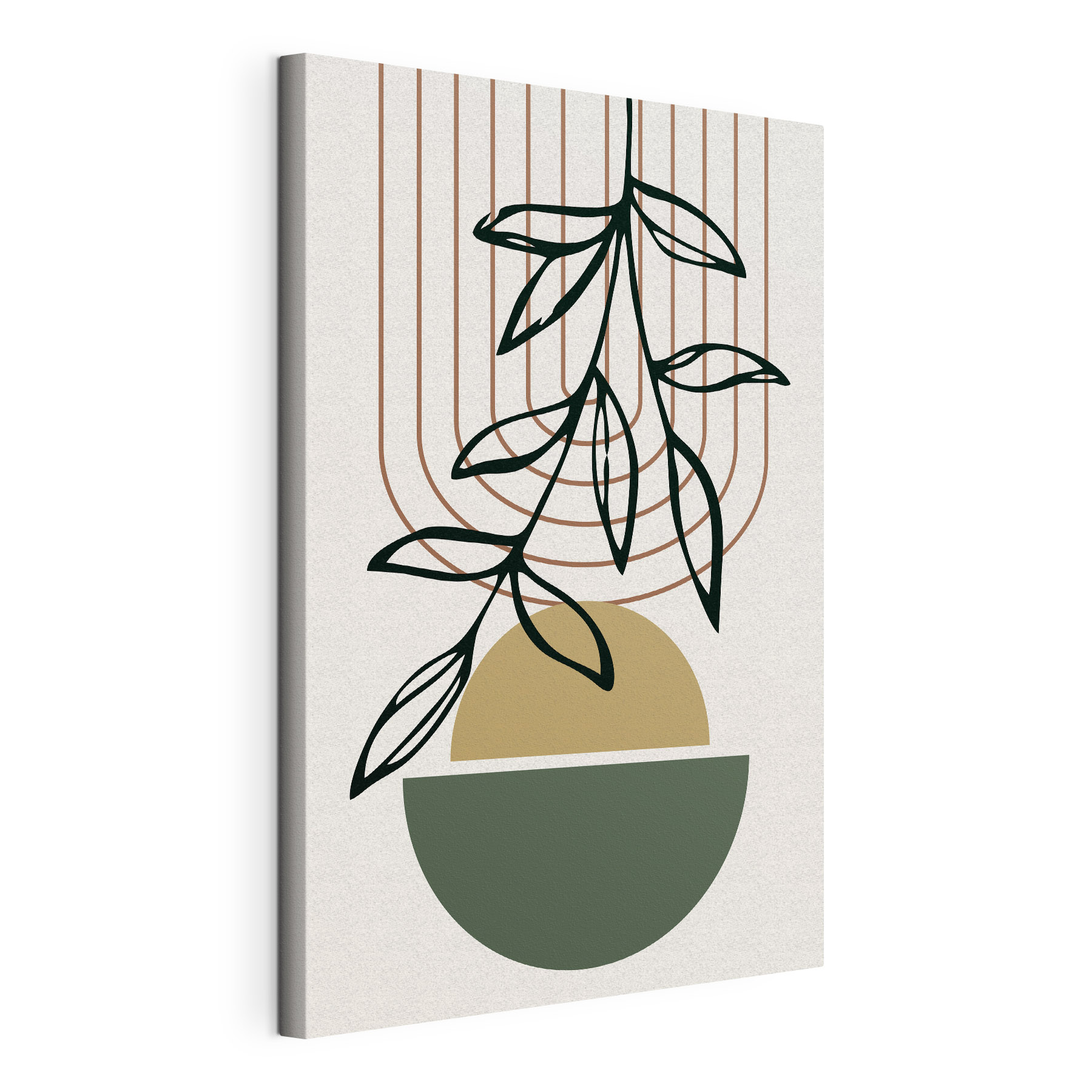 A plant in a bowl