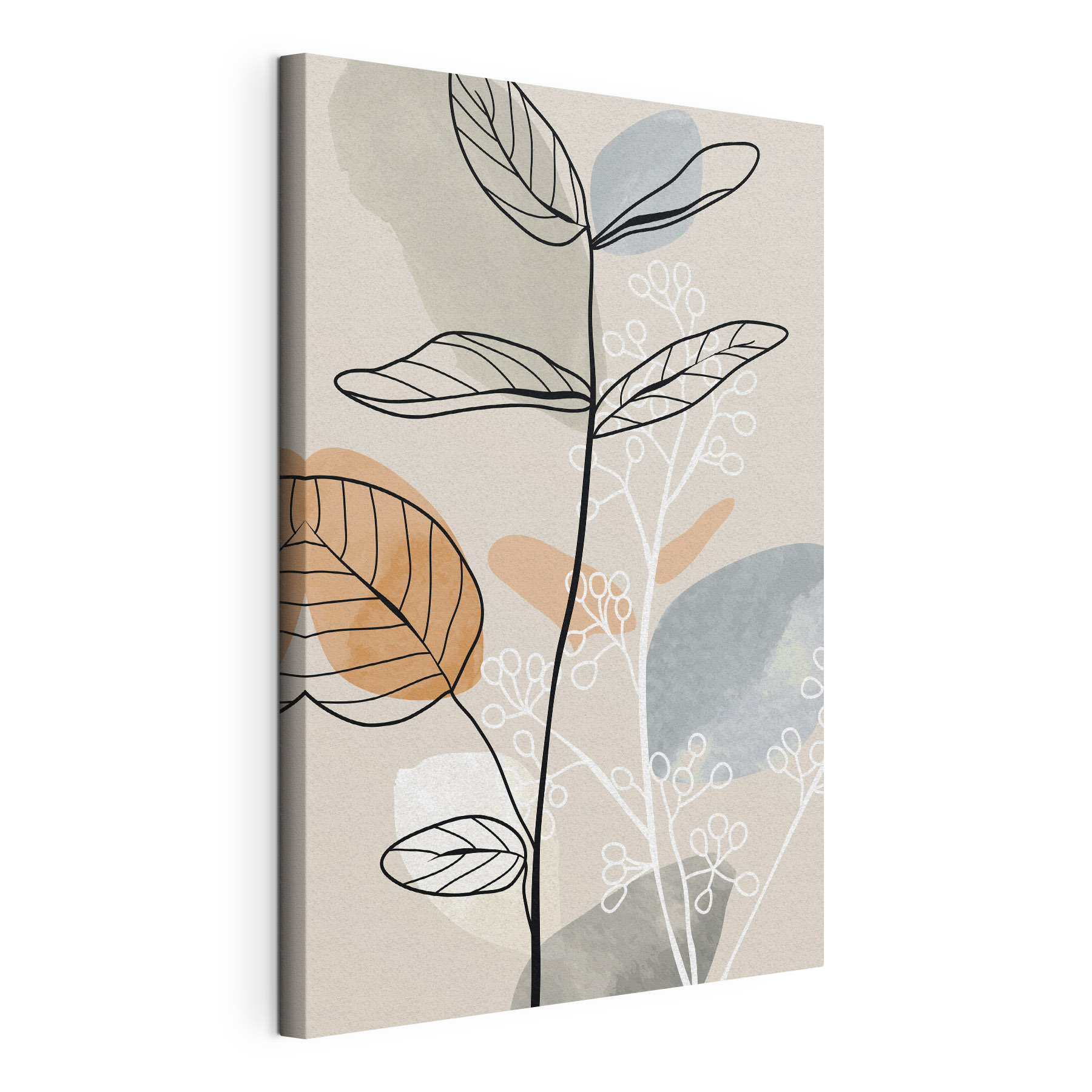 A drawing of a plant A drawing of a plant