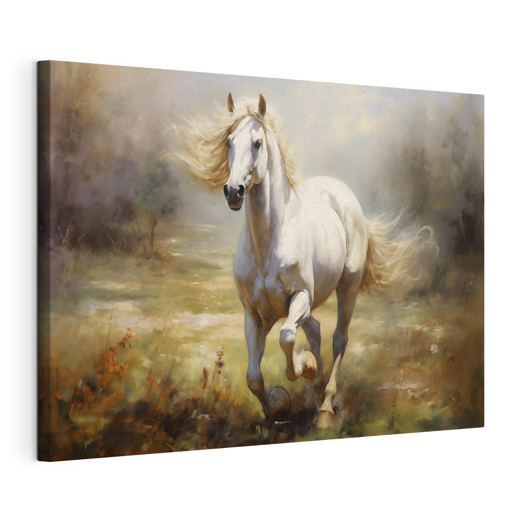 White horse running in a field White horse running in a field