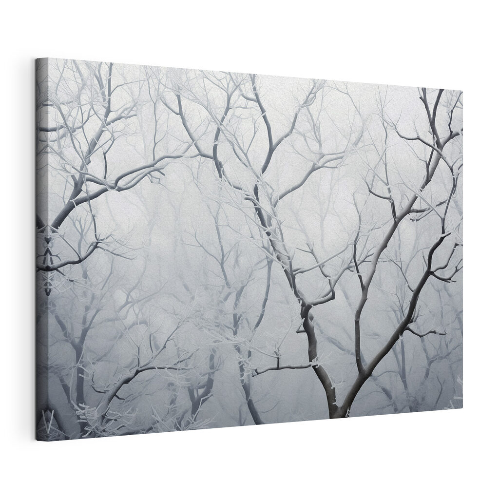 Tree branches with snow on them Tree branches with snow on them