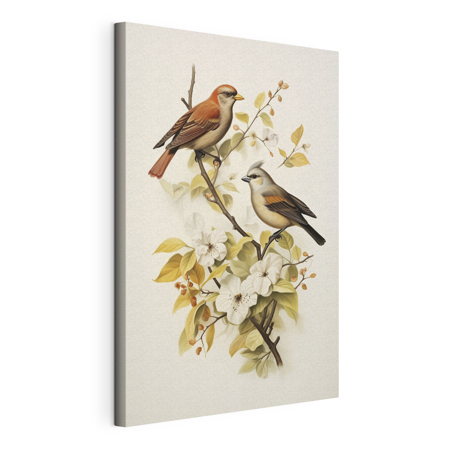 Two birds on a branch with flowers Two birds on a branch with flowers
