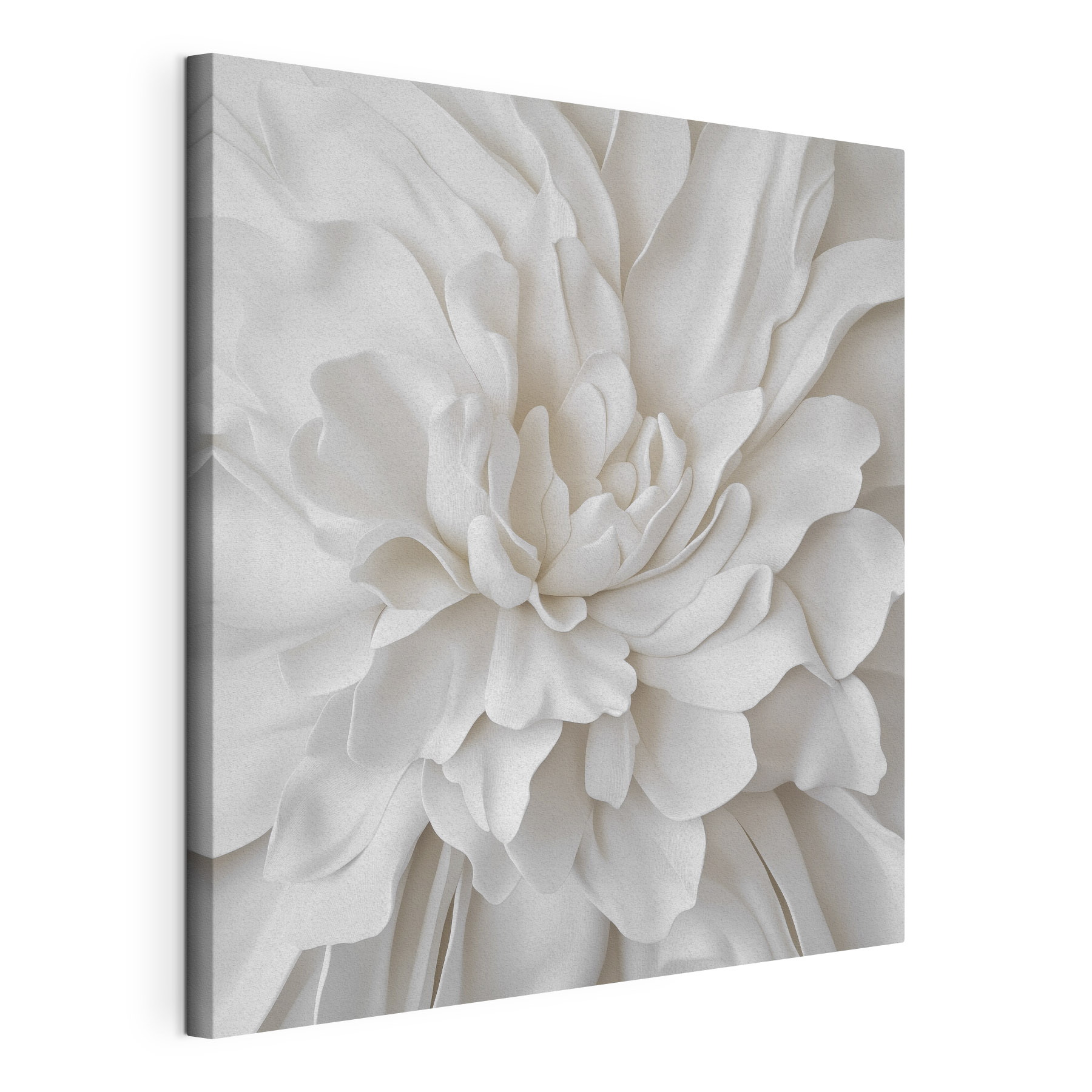 Delicate layers of soft petals Delicate layers of soft petals
