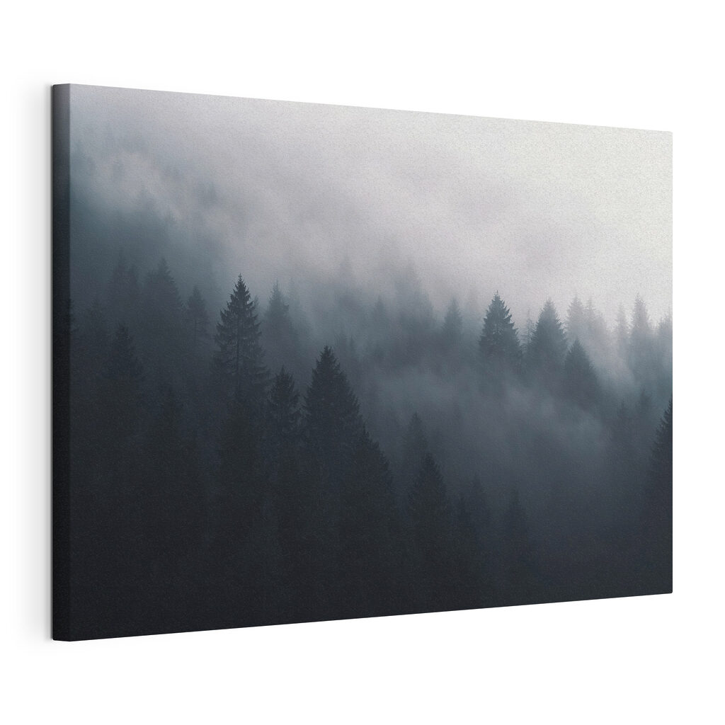 Foggy forest with trees Foggy forest with trees