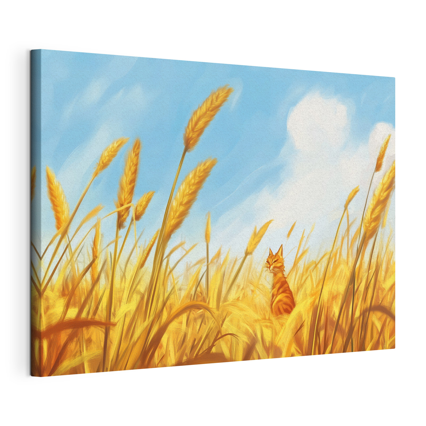 Cat sitting in a wheat field