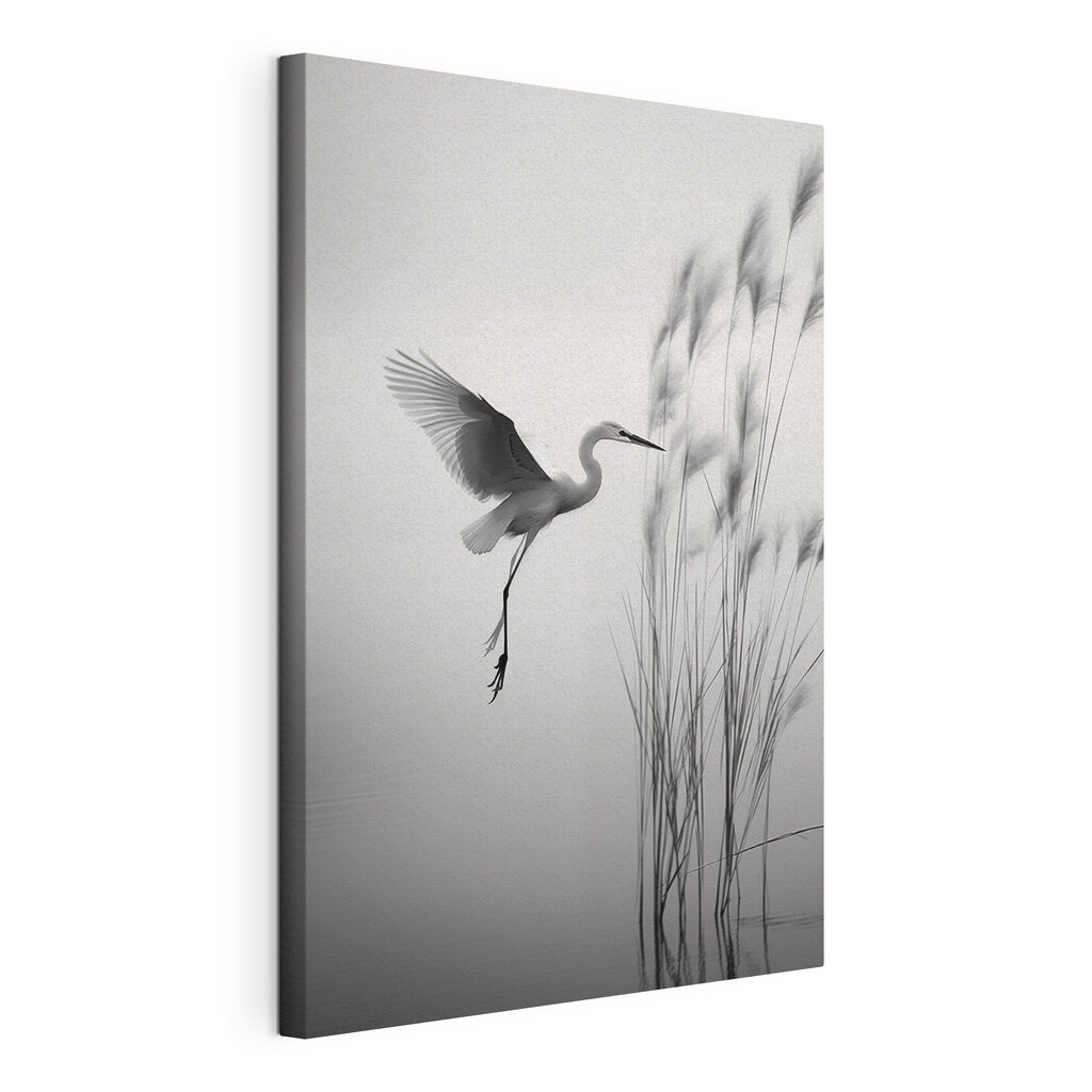 Bird flying over water