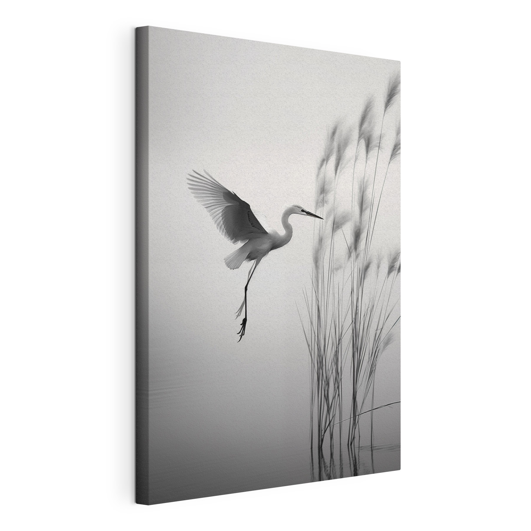 Bird flying over water