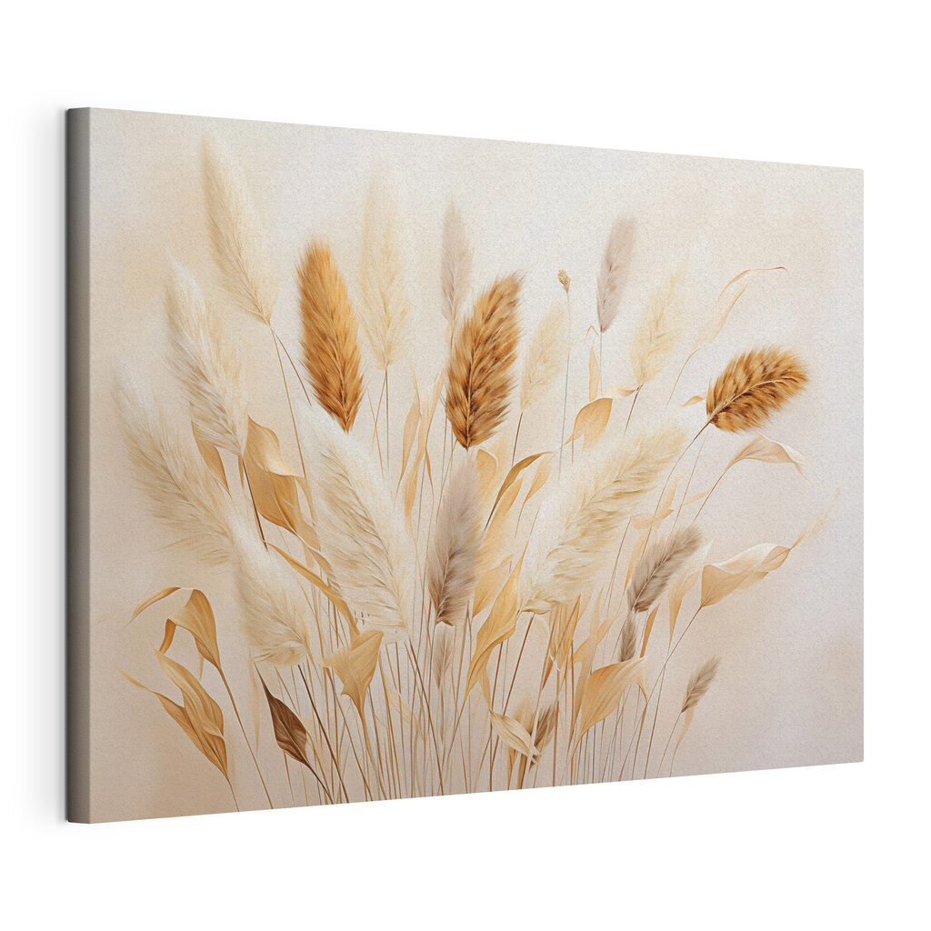 Bunch of wheat on a white background
