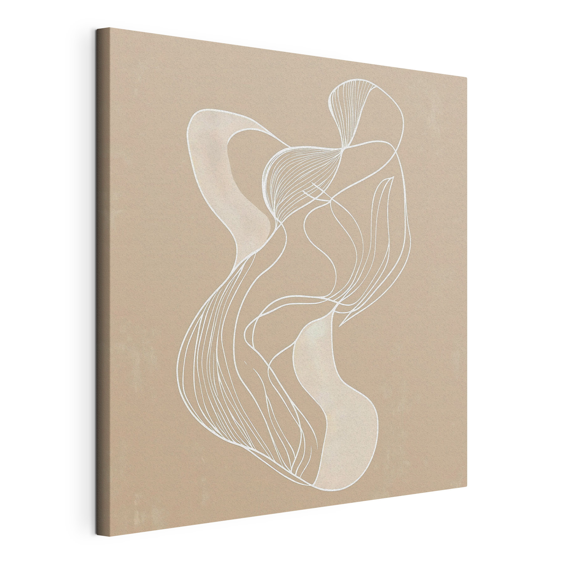 White line drawing on a tan background White line drawing on a tan background