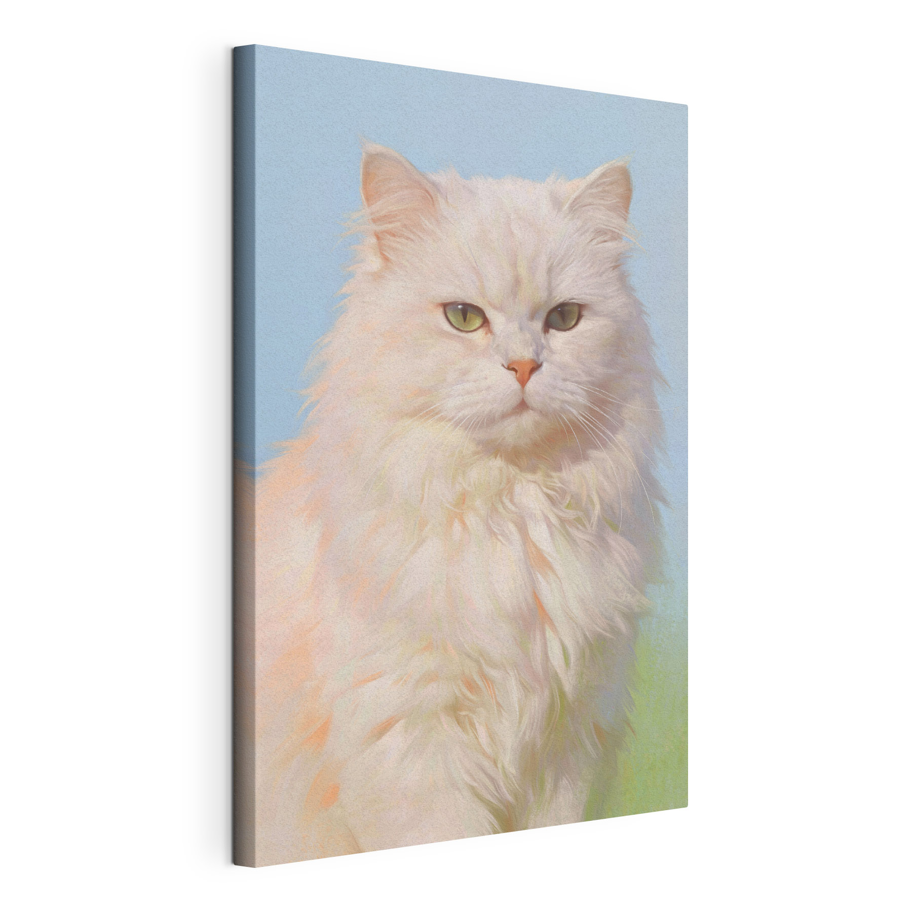 White cat with green eyes White cat with green eyes