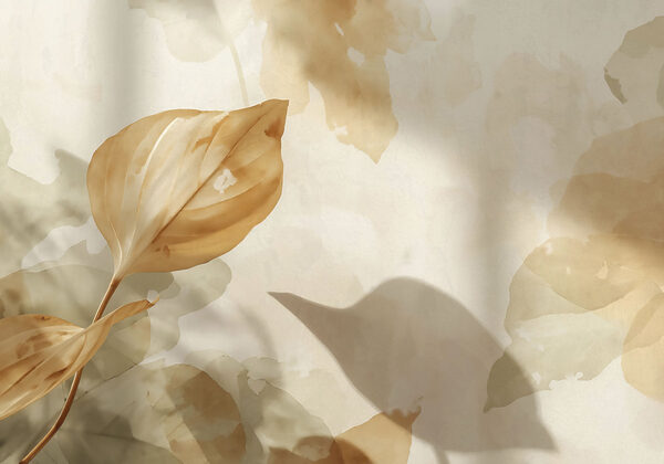Leaf on a wall