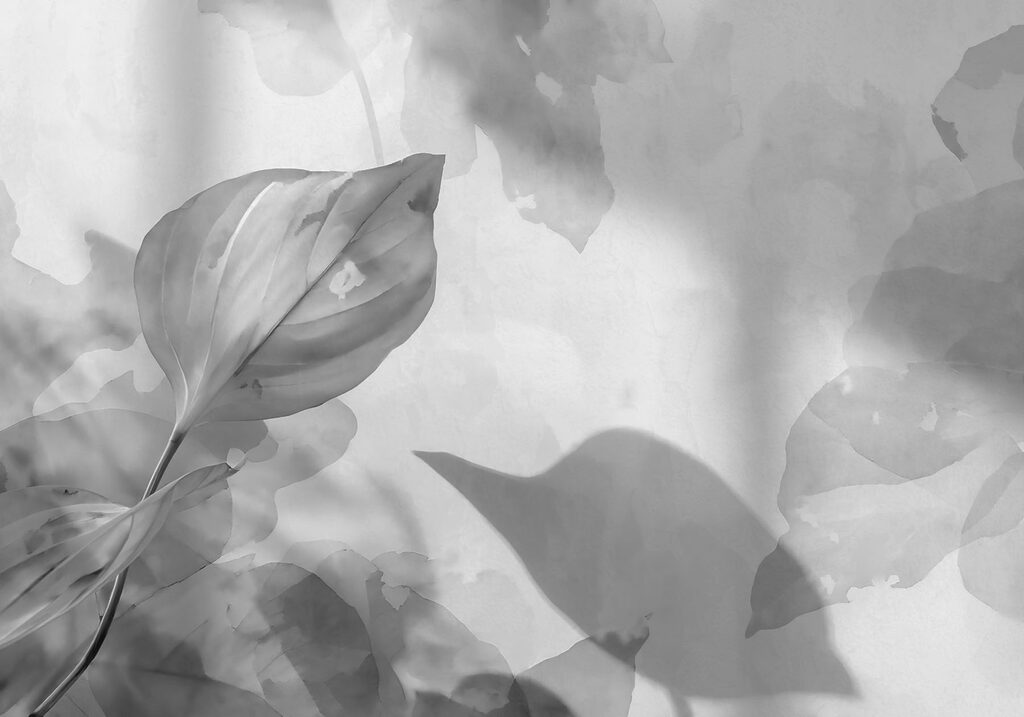 Serene leaves in soft light
