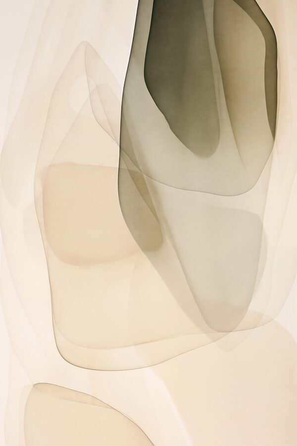 Soft curves in gentle hues Soft curves in gentle hues
