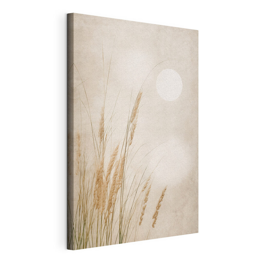 Gentle grasses in soft light