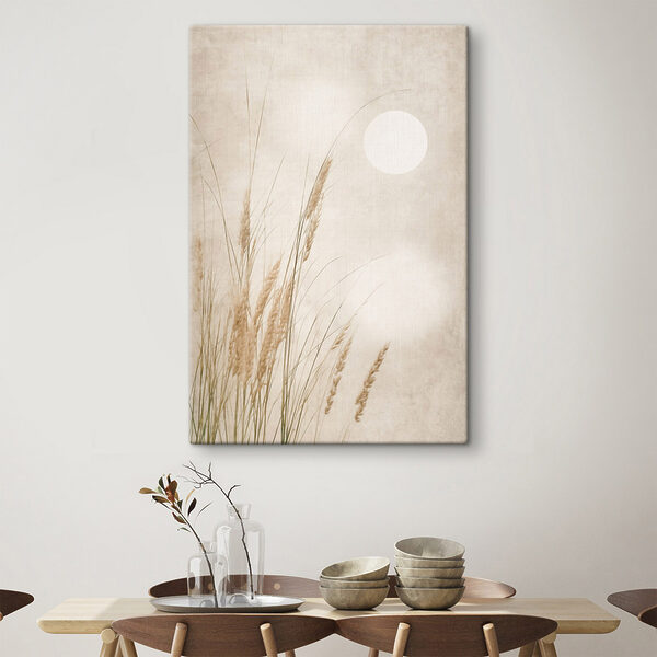 Gentle grasses in soft light