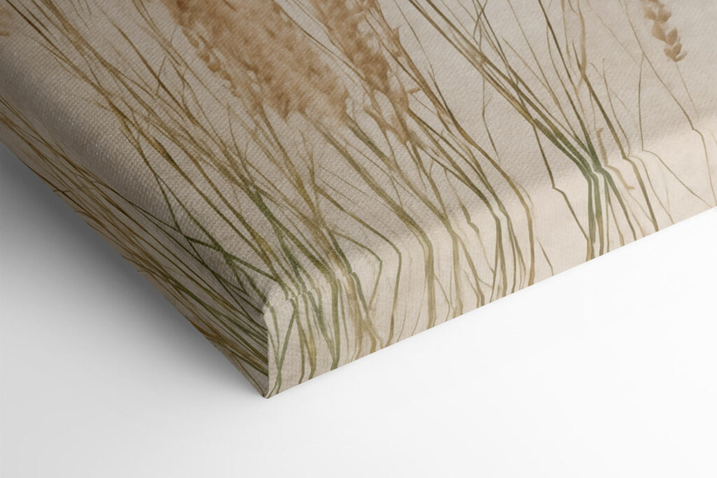 Gentle grasses in soft light