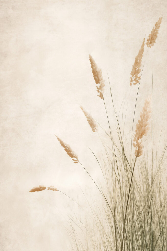 Delicate grass swaying in the breeze
