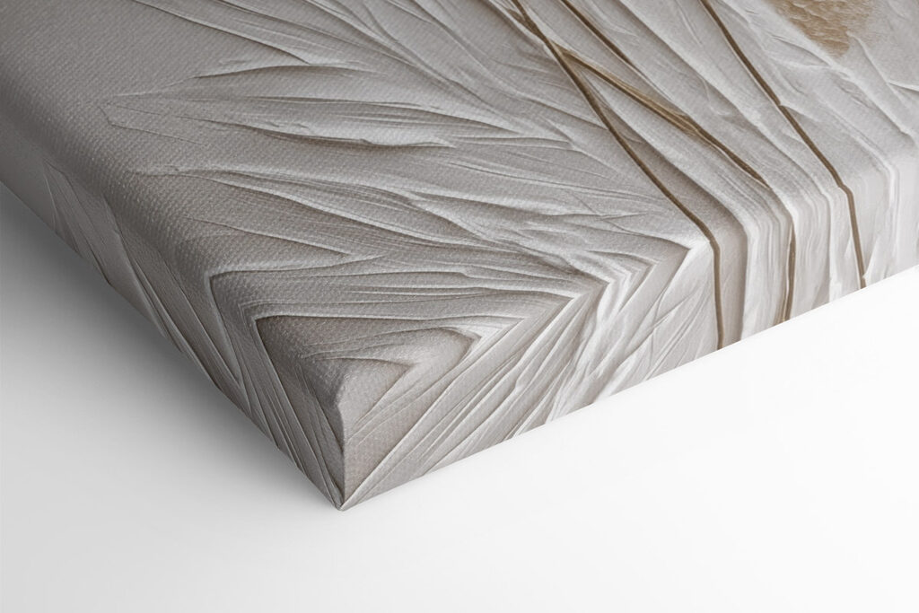 White feather on a white surface