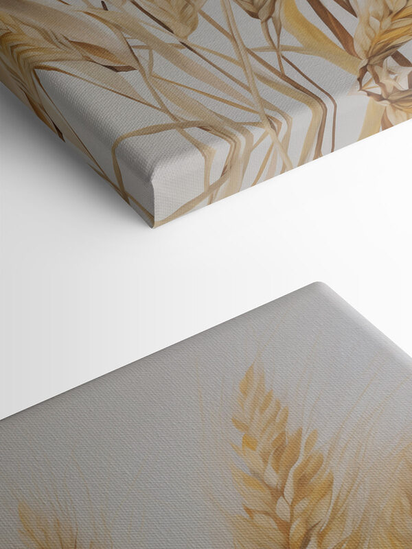 Painting of wheat on a white background Painting of wheat on a white background