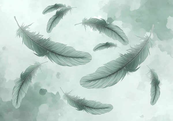 Group of feathers floating in the air