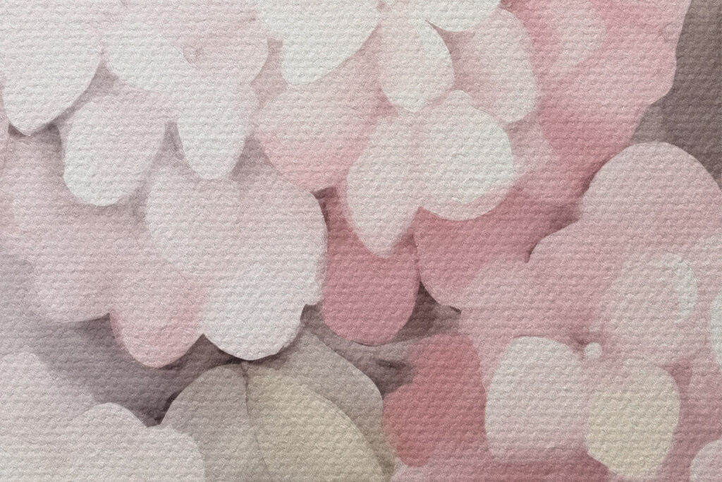Painting of flowers on a white background Painting of flowers on a white background