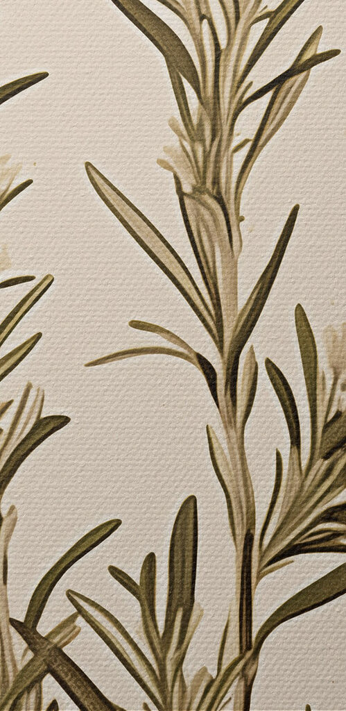 Painting of white flowers Painting of white flowers