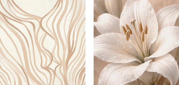 Smooth lines and elegant lilies Smooth lines and elegant lilies