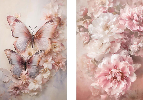 Two butterflies on a flower
