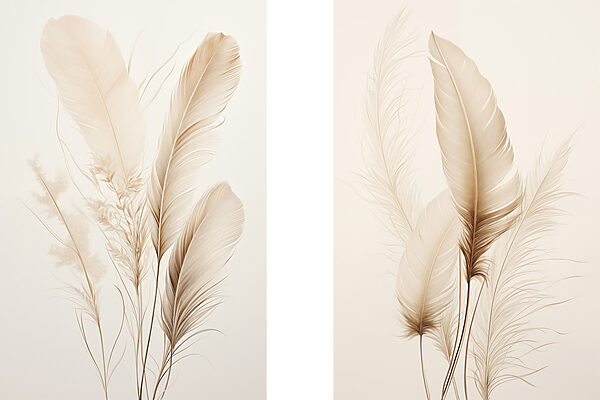 Delicate feathers softly arranged together Delicate feathers softly arranged together