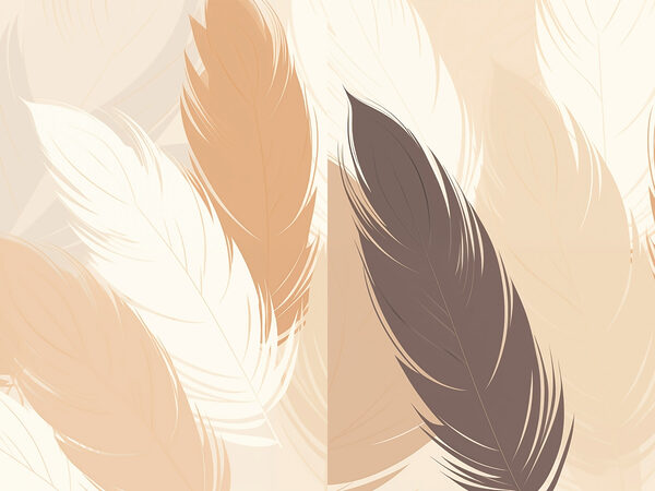 Soft hues of elegant feathers