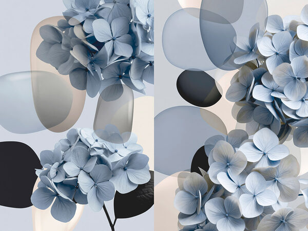 Collage of flowers Collage of flowers