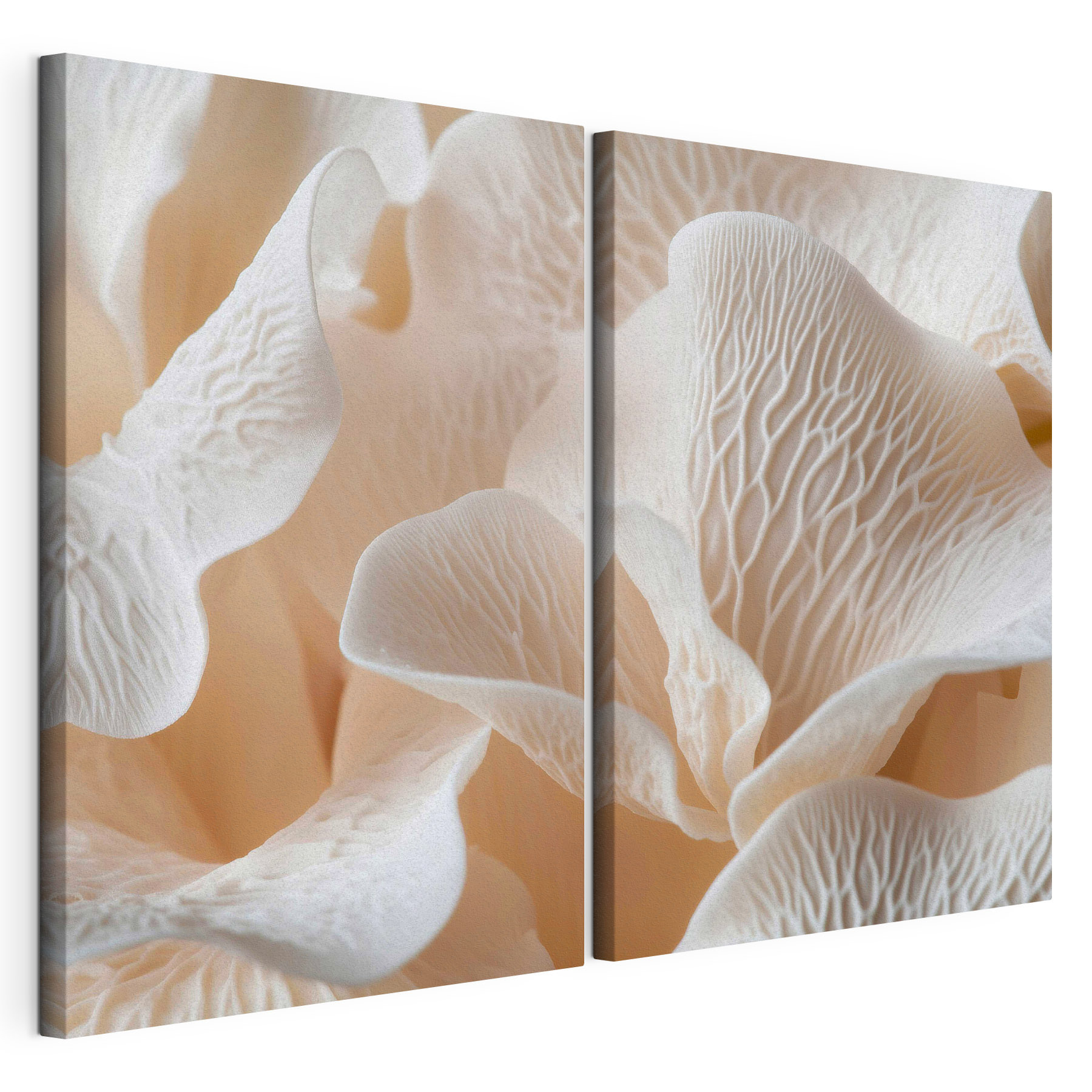 Whimsical petal formations in soft hues