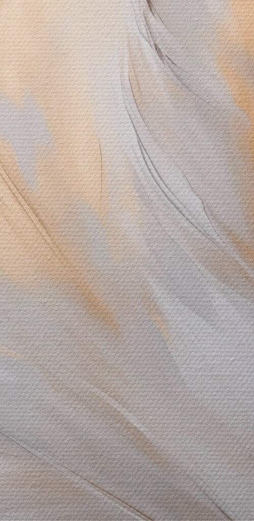 Delicate feathers in soft hues