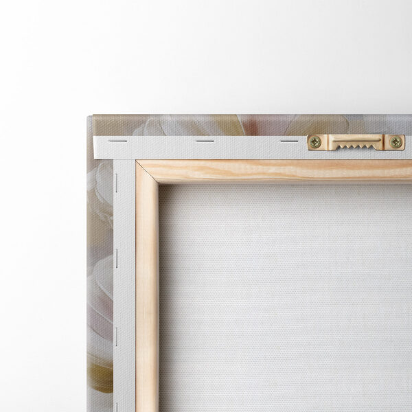 Delicate blooms in soft tones Delicate blooms in soft tones
