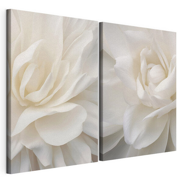 - Elegant petals in soft white hues - Elegant petals in soft white hues