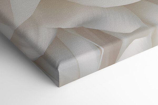 - Elegant petals in soft white hues - Elegant petals in soft white hues