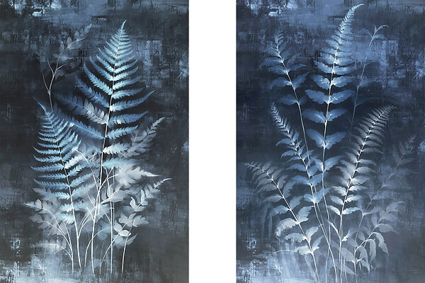 Serene foliage in cool tones Serene foliage in cool tones