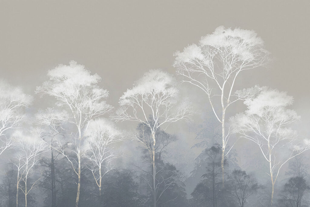 Group of trees with fog Group of trees with fog