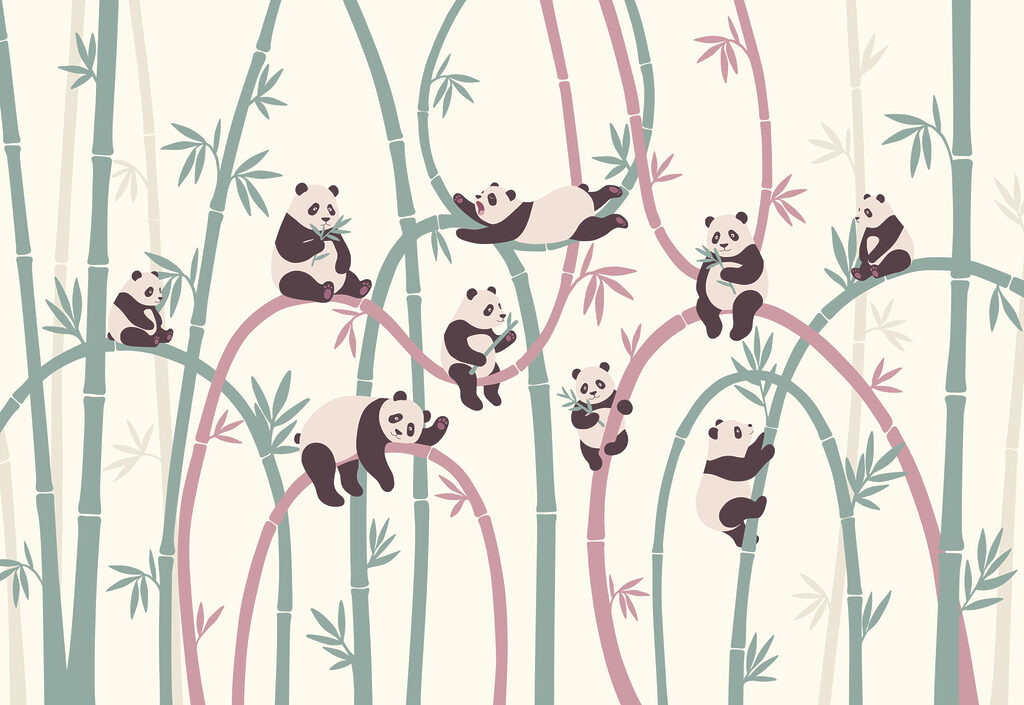 Group of pandas on bamboo branches Group of pandas on bamboo branches