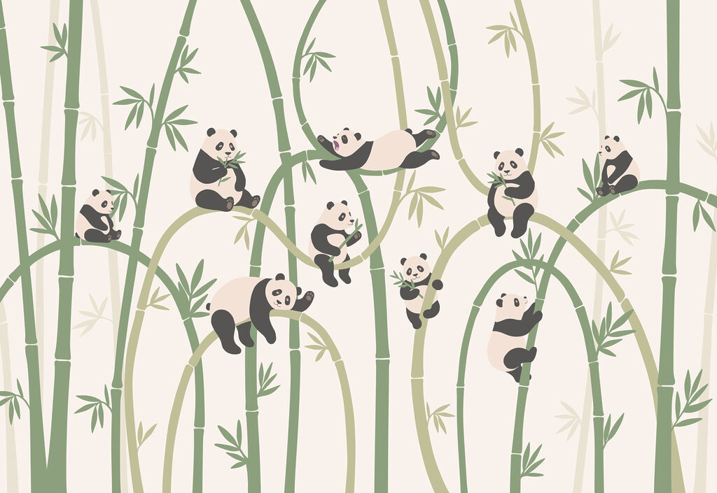 Group of pandas on bamboo