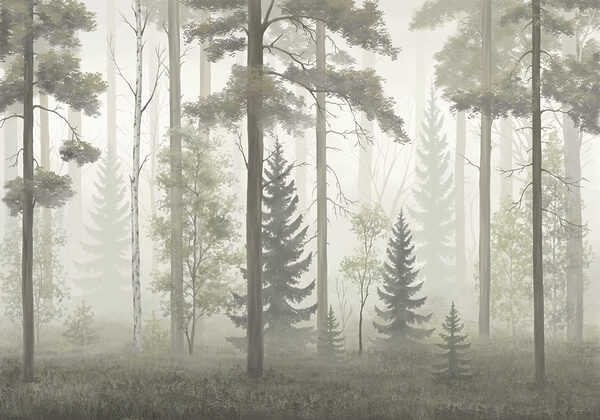 Foggy forest with trees Foggy forest with trees