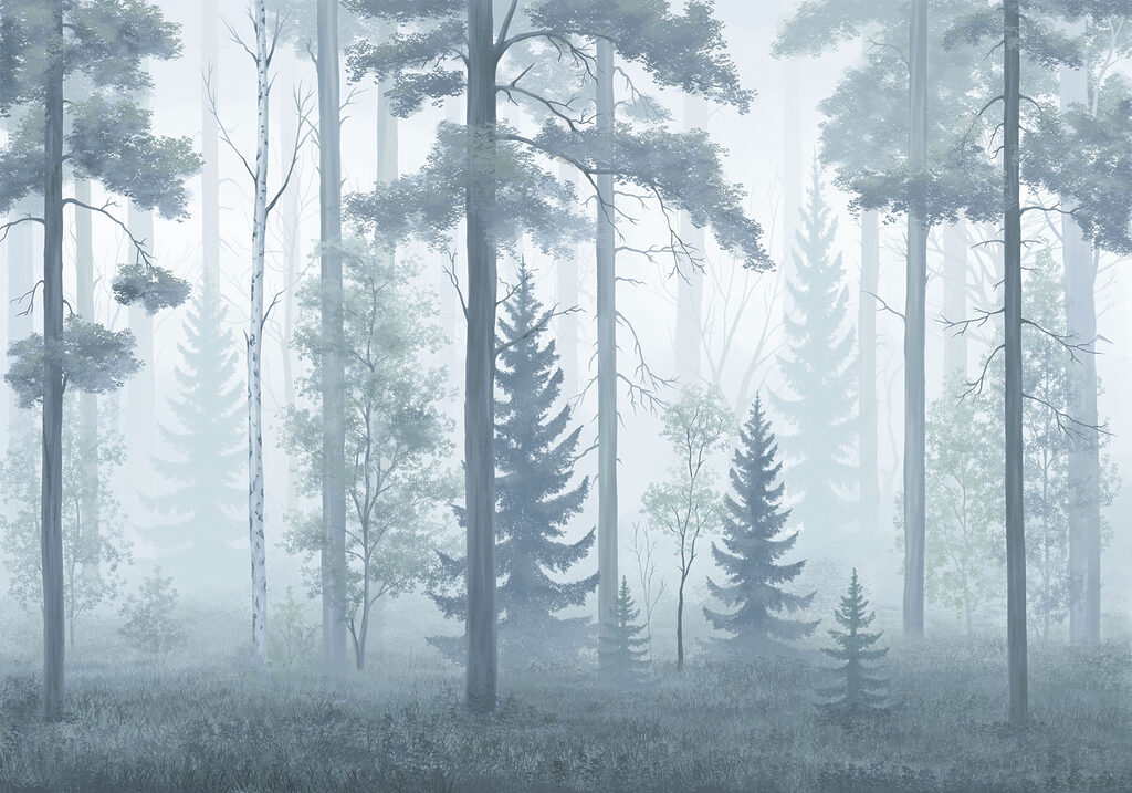 Foggy forest with trees Foggy forest with trees