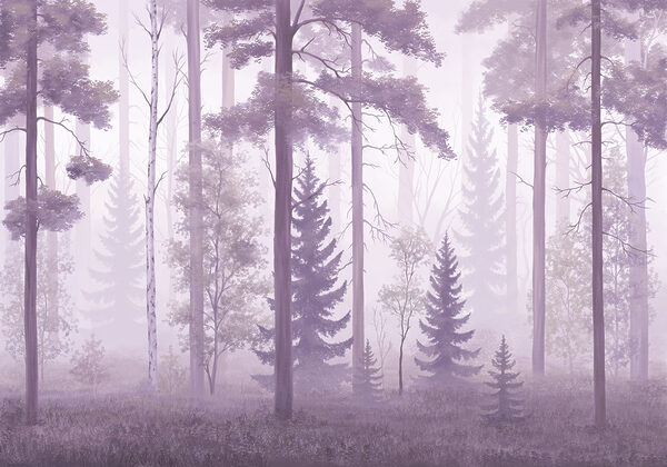 Foggy forest with trees