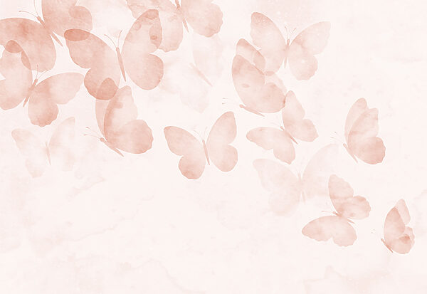 Group of butterflies on a white background